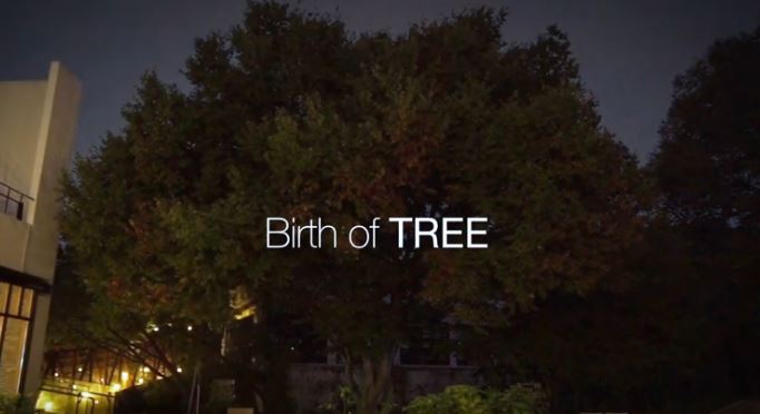 테라로사 Birth of Tree.JPG